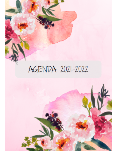 Agenda Rosa @estudiantederecursoshumanos